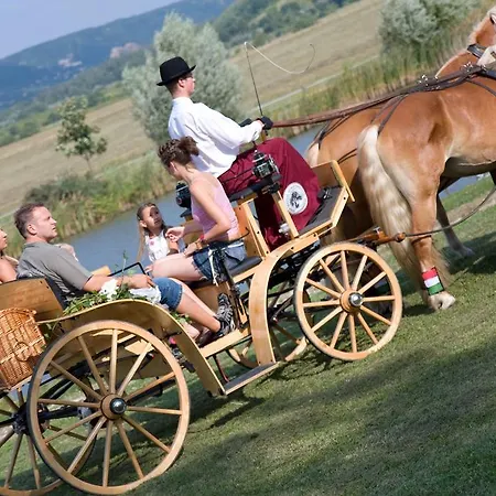 Hetkuti Wellness Es Lovaspark 3* Mór