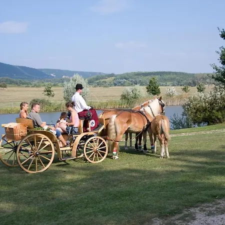 Hetkuti Wellness Es Lovaspark Mór
