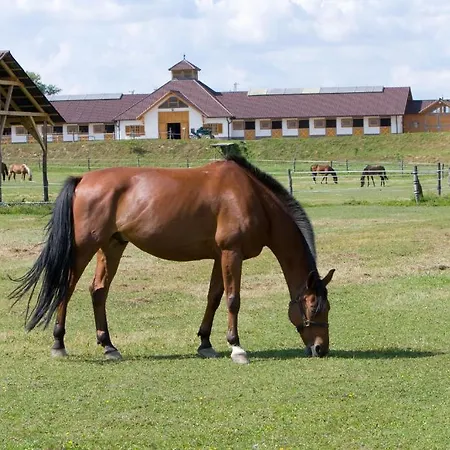 Hetkuti Wellness Es Lovaspark Hotell
